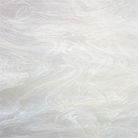 Spectrum glas 305S 120x60cm